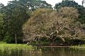 20101203_133655 D3